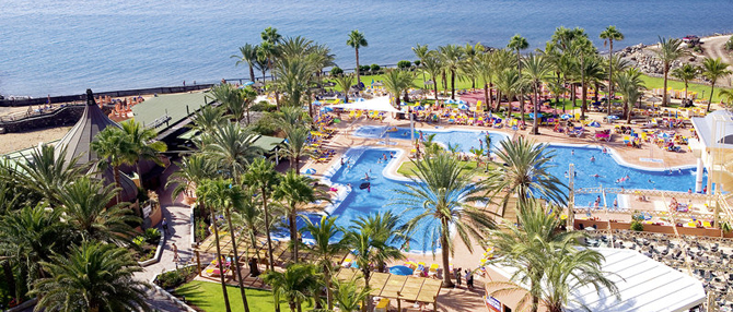 FAMILY LIFE Orquidea