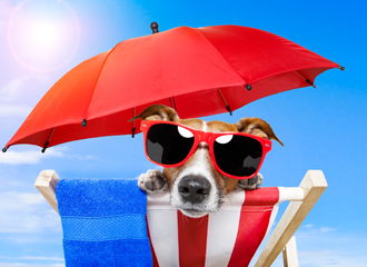 tui-family-life.
 Service